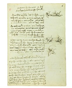 Códice sobre el vuelo de los pájaros, Folio 6 recto de Leonardo da Vinci